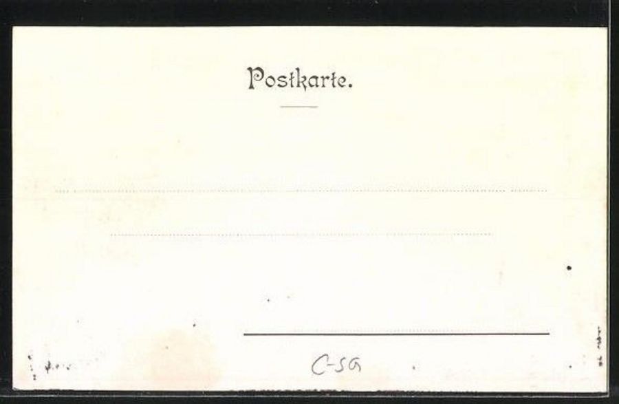 Cartoline postali: Gruss aus Rorschach! um 1900 – Usato da Frauenfeld venduto da POML 1