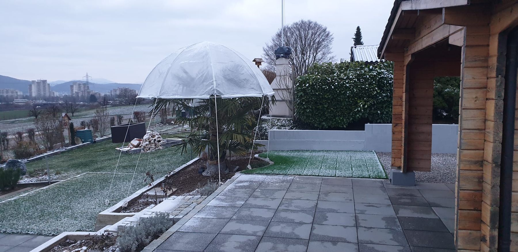 Zelte & Pavillons: Palmenhut Basic Colibri, Palmenschutz, Winter, Überwintern – Gebraucht aus Lausen von Misterspidy 3