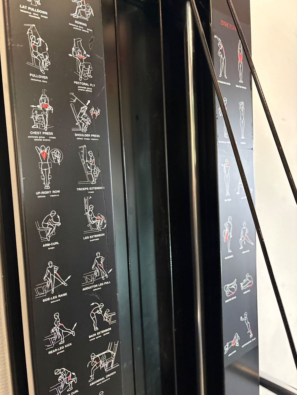 Technogym Vélos d'appartement: UNICA Multifitnessmaschine – D'occasion à Romanshorn par deratlas 3