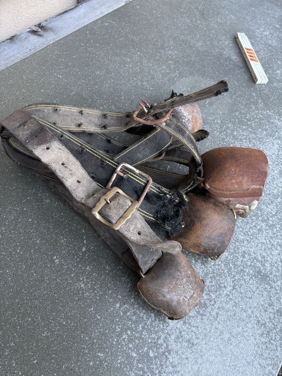 Campanacci mucche: 5 Rindertreicheli – Usato da Schangnau venduto da Roseggli82 6