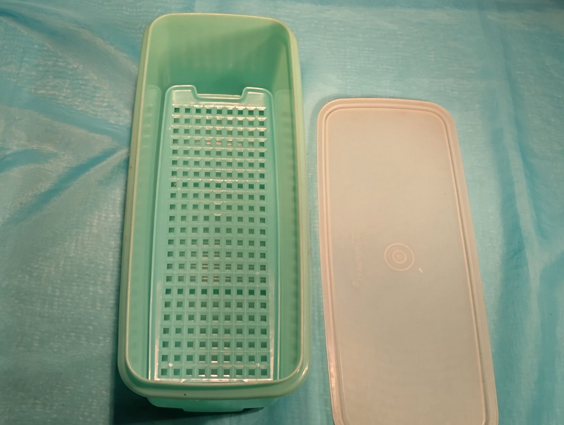 Tupperware Contenitori & Simili: Tupperware Salat Crisper mit Sieb – Usato da Bellach venduto da JingleCherry 2