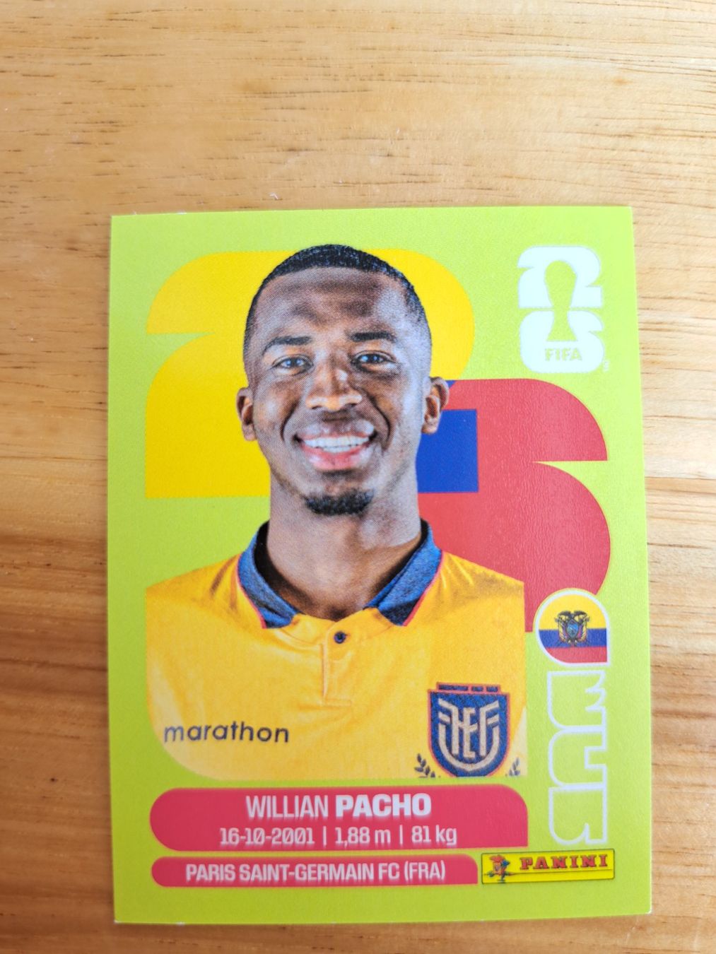 Panini Cartes à collectionner: Panini FIFA World Cup ECU 6 – Neuf (Voir description) à Waldenburg par Sysilu