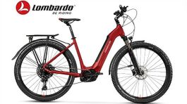 BICICLETTA ELETTRICA BOSCH CITY TREKKING 750WH BRENNERO