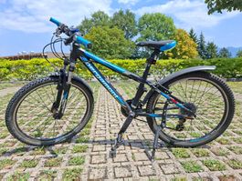 Bergamont Team Junior 24 Zoll - Hardtail
