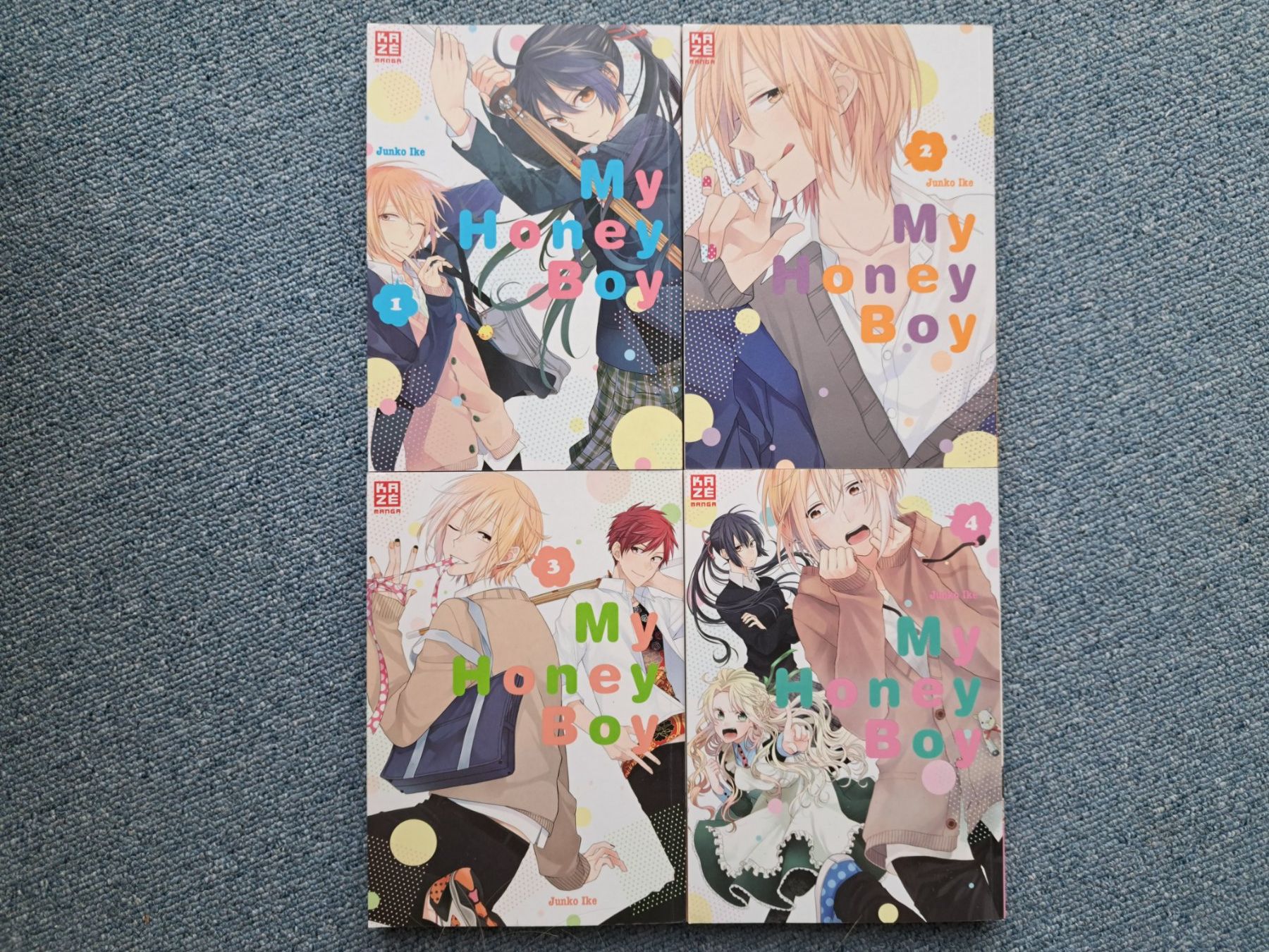 Comics: My Honey Boy 1-4 Manga – Gebraucht aus Killwangen von KIANA08 1