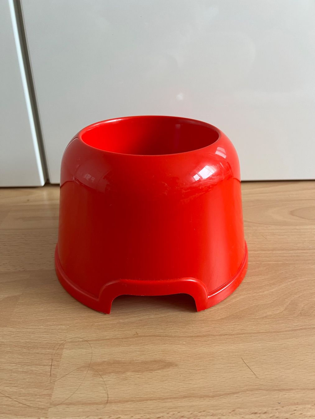 Teller: Futternäpfe – Neu und originalverpackt aus Tagelswangen von fireiceprincess 2