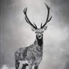 Profile image of vip-cts
