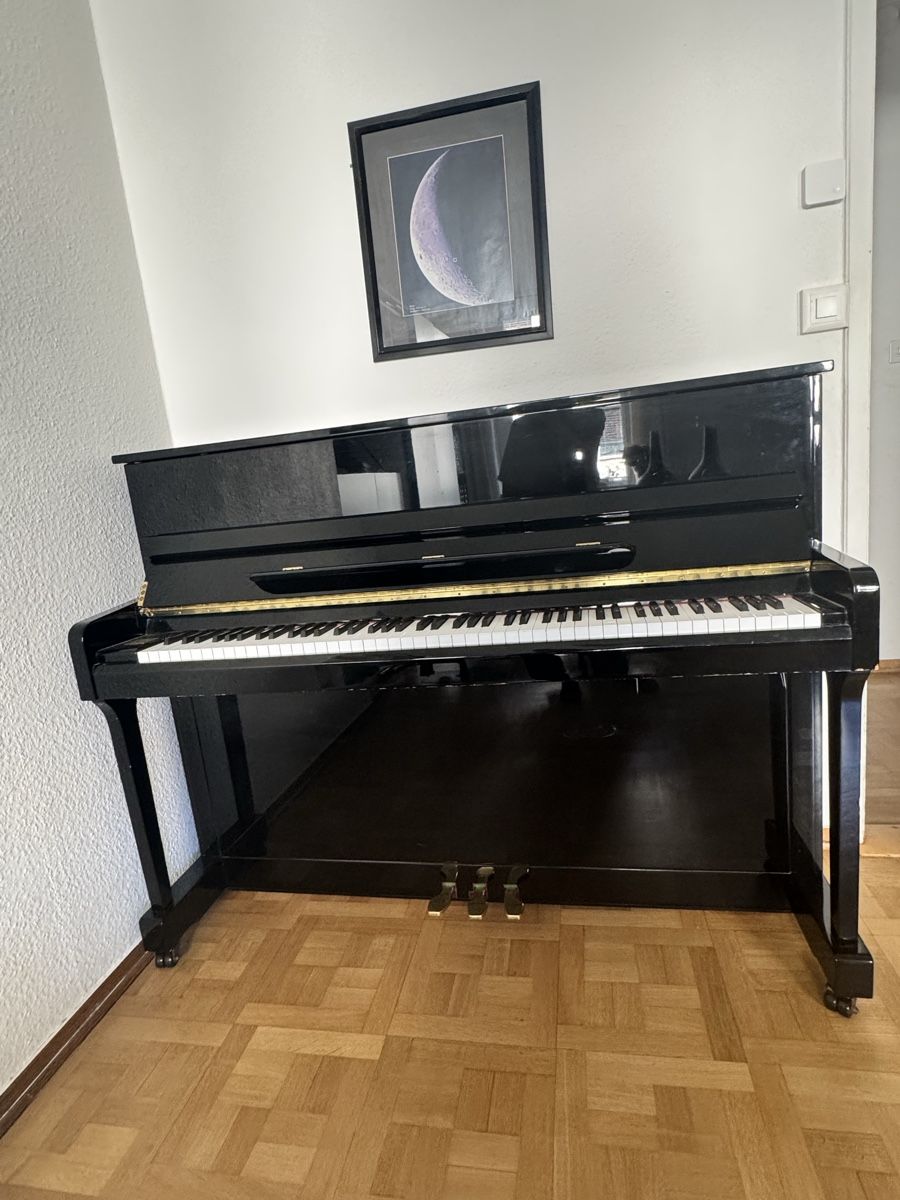 Strumenti musicali: Piano – Usato da Genève venduto da Artgatito 1