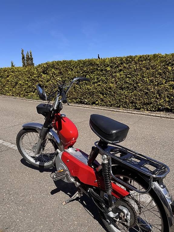 Sachs Ciclomotori: Sachs Töffli – Usato da Neukirch (Egnach) venduto da Lars2 2