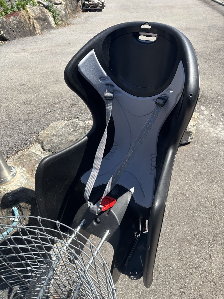 Pezzi di ricambio: Fahrrad Kindersitz hinten – Usato da Brienz BE venduto da Ravenhart