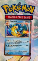 Gyarados Holo Entwicklung in Paldea 043/193