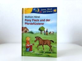 Pony Fleck: Kinderbuch Jugendbuch für Pferde-Fans