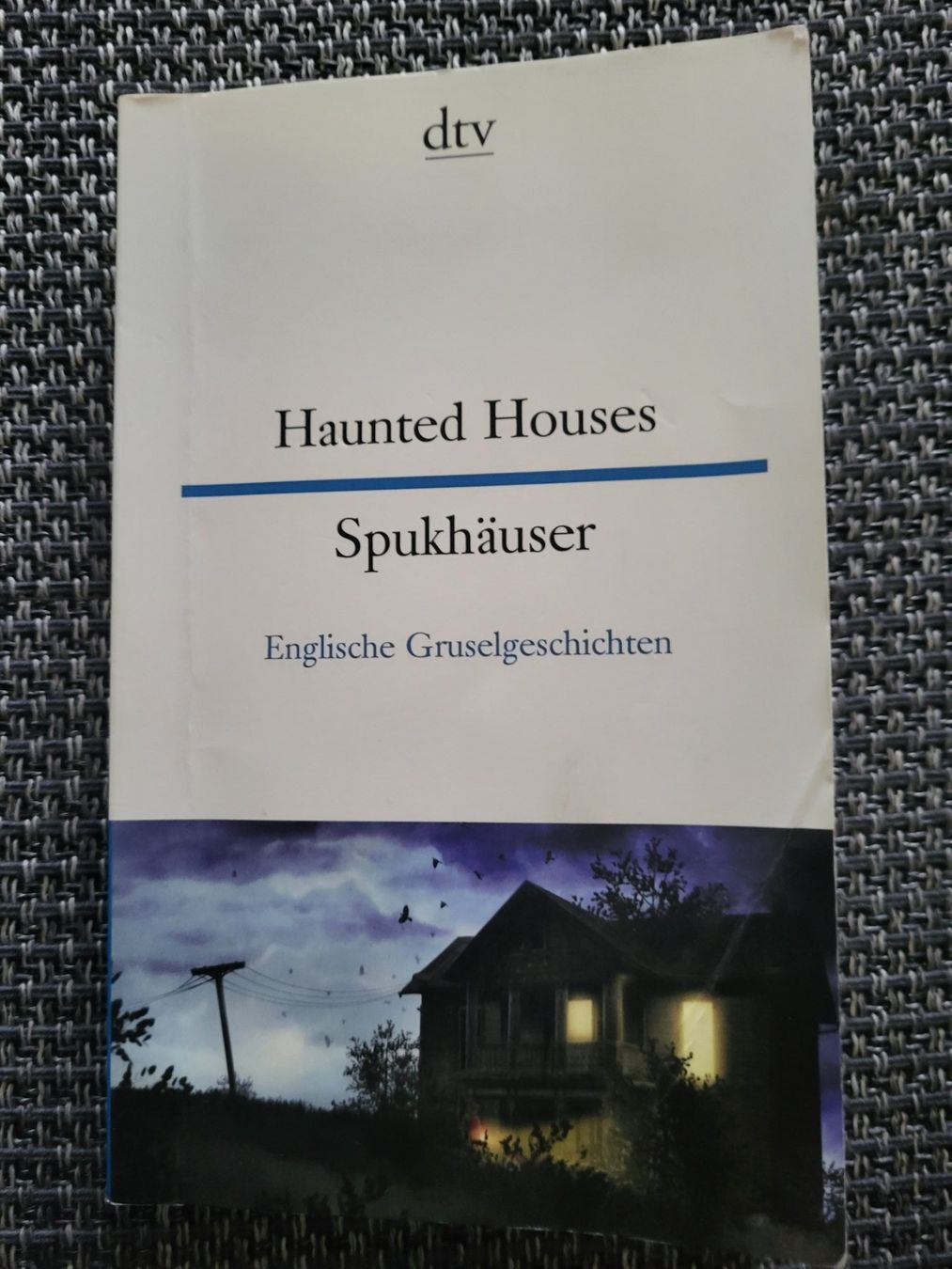 Libri: Englische Gruselgeschichten - Spukhäuser – Usato da Sevelen venduto da Cleo82