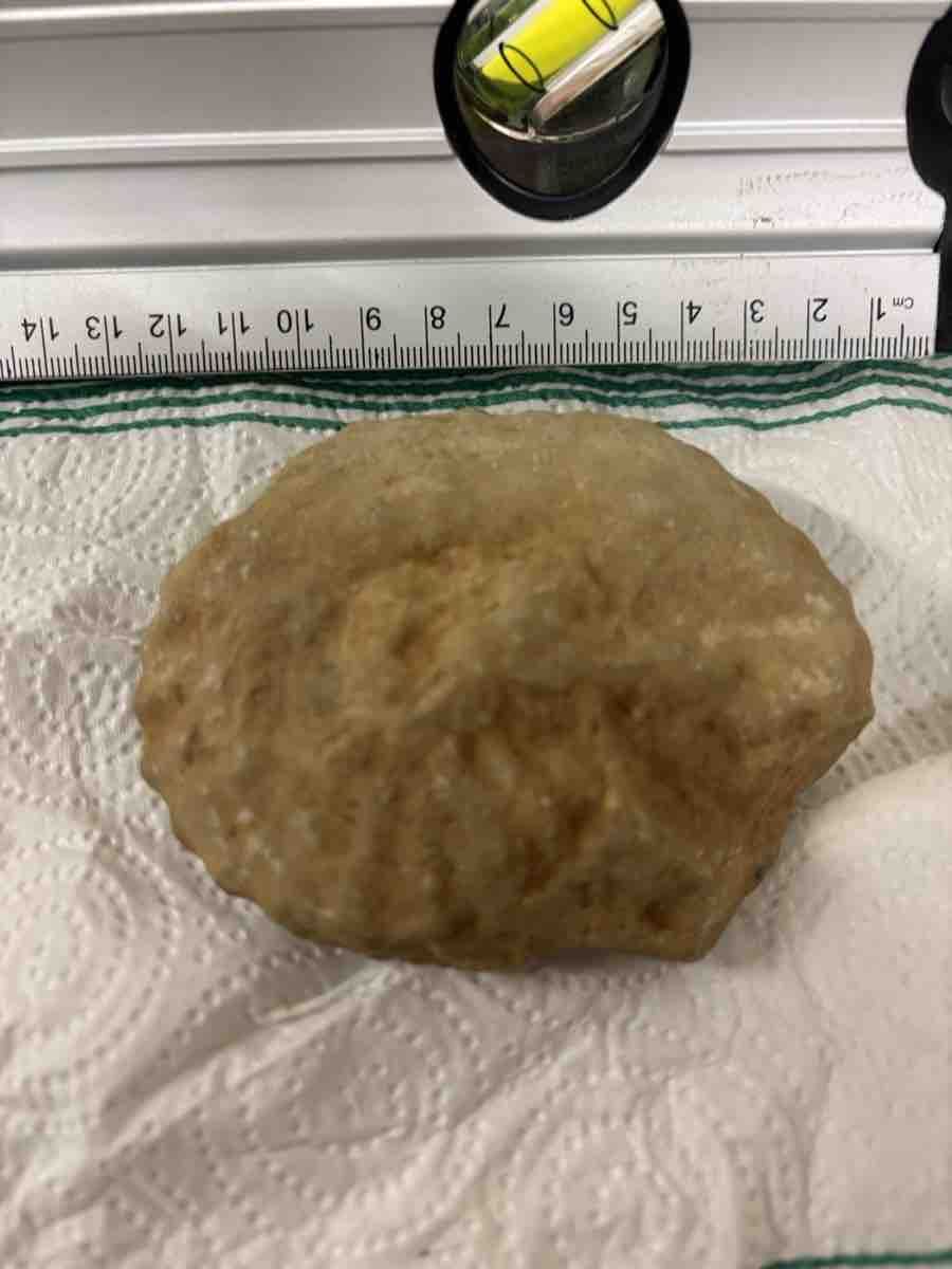 Fossilien: Fossile ammonite autentico 10 cm – Gebraucht aus Wallisellen von nick_1976blu 2