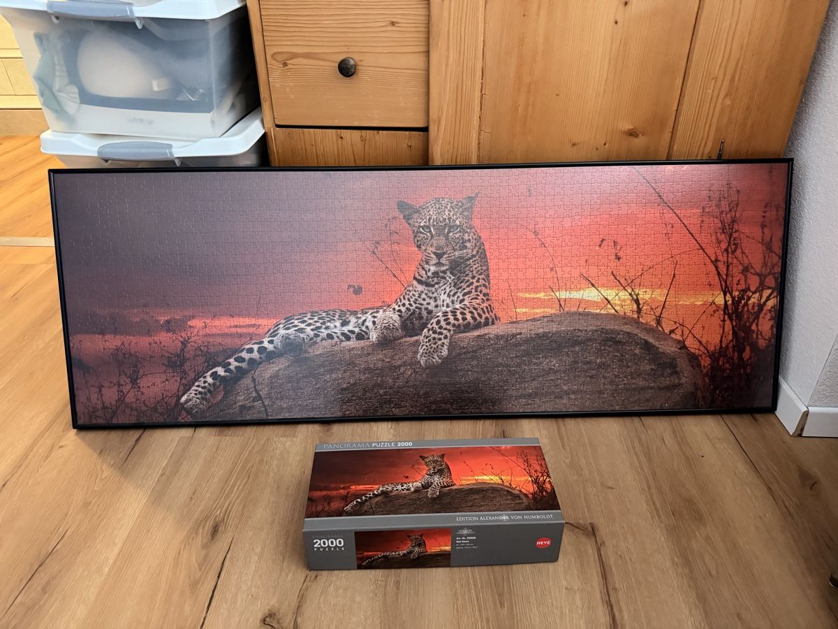 Puzzle: Panorama Puzzle 2000 Teile Leopard Alexander von Humboldt – Usato da Lufingen venduto da Smily37 1