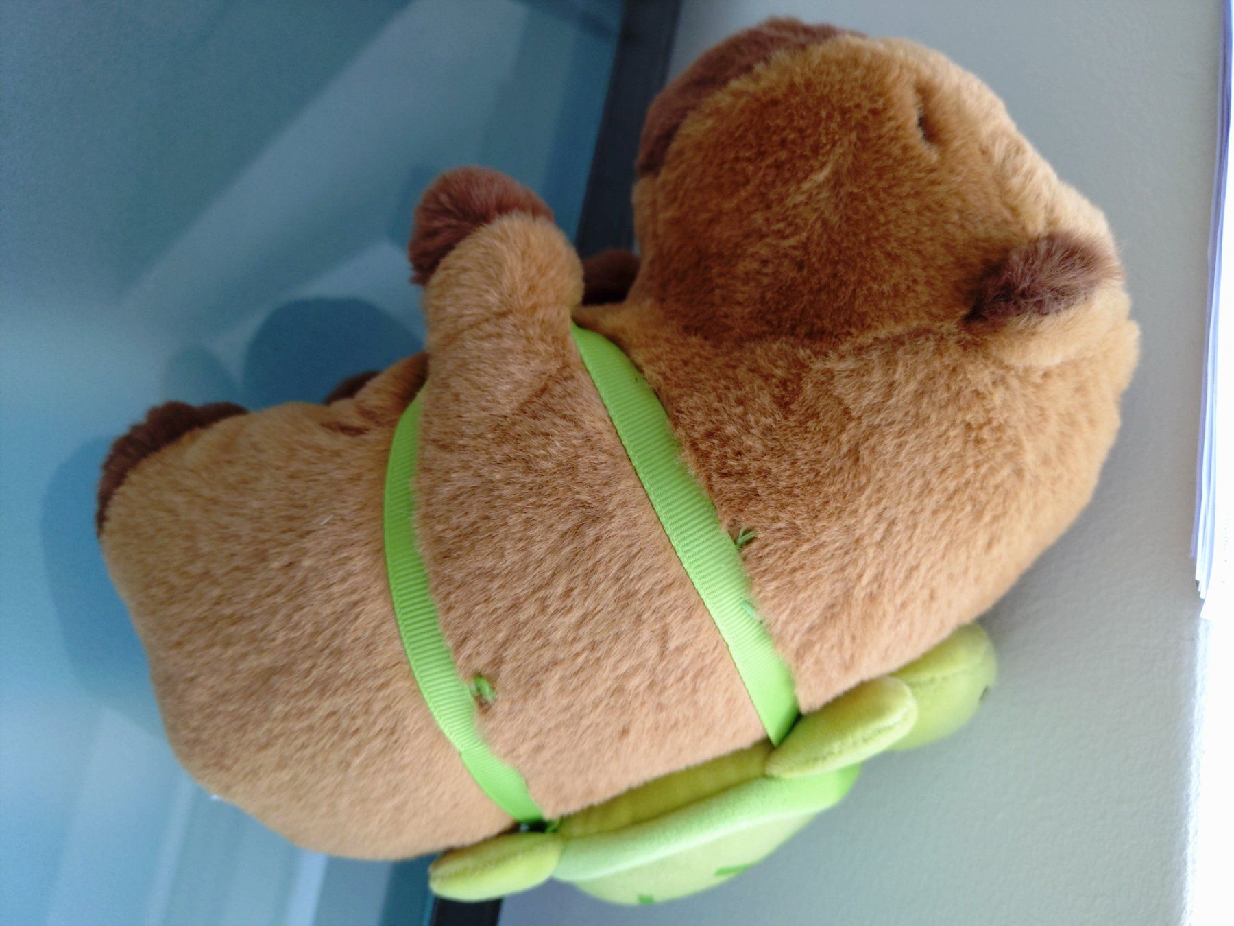 Giocattoli: Capybara plüschtier mit Schildkröten Rucksack 22 cm – Usato da Bottmingen venduto da Pidi0 3