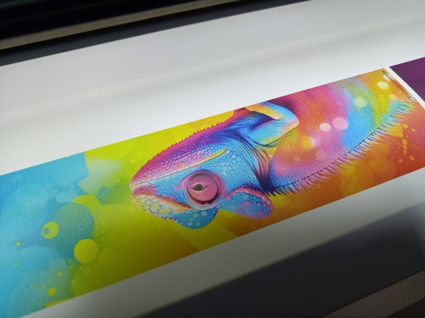 Roland Drucker: Plotter Roland VS-640 - Profi Print & Cut Top Zustand – Gebraucht aus Chur von slim777 4
