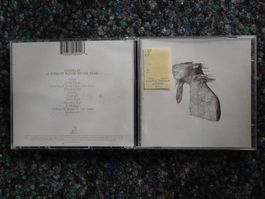 CD : Coldplay