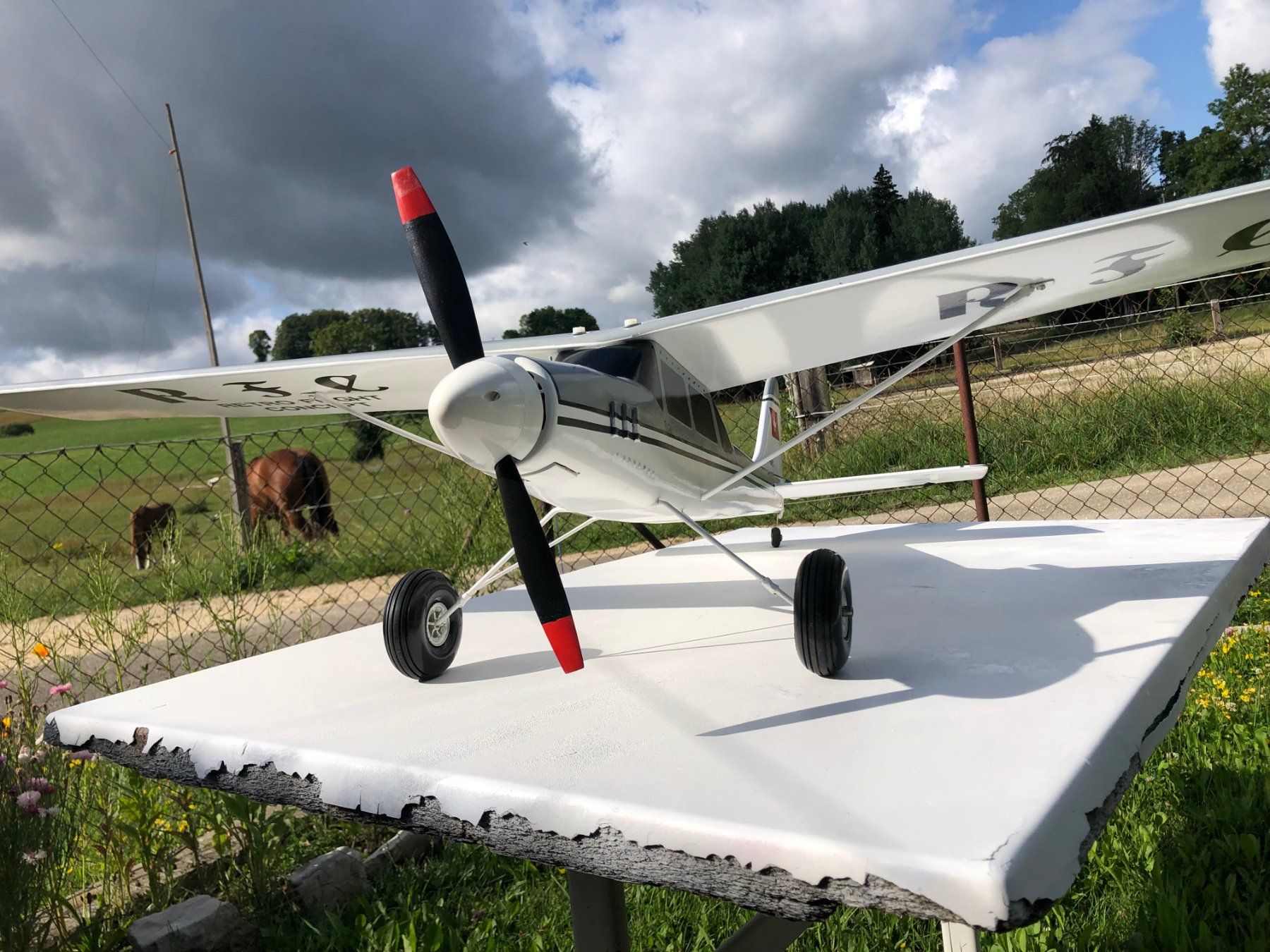 Modellismo RC: Avion multi rôle – Nuovo (secondo la descrizione) da Les Bois venduto da Nanouu0 1