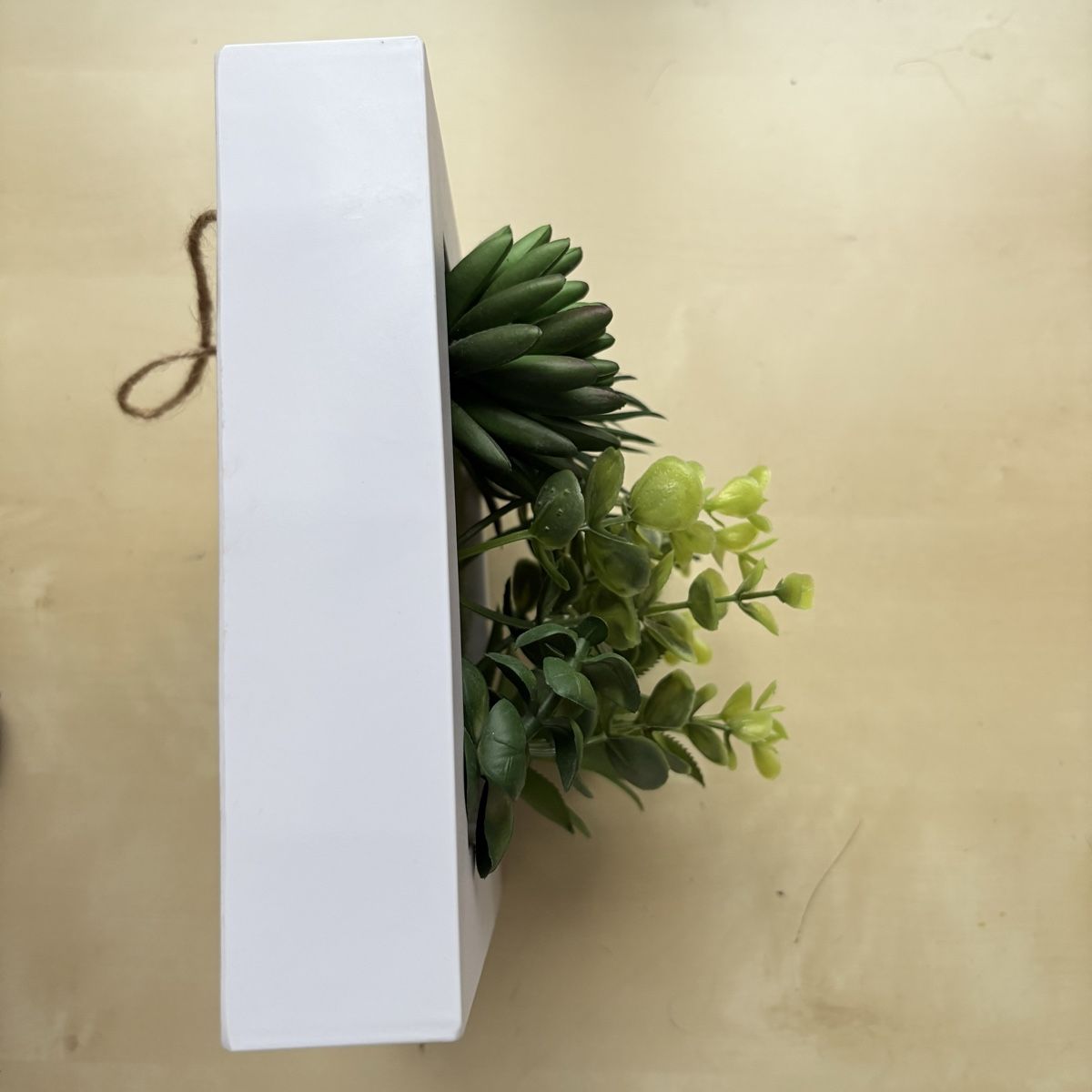 Toutes les décorations: Tableau plantes plastique – D'occasion à Moudon par TigerrrEye 2