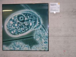 Bild mit hochwertigem ALU- Bilderrahmen