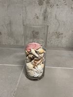 Vaso in vetro con conchiglie, nuovo 
