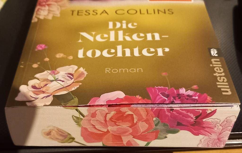 Livres: Die Nelkentochter – D'occasion à Büsserach par pepper44 2