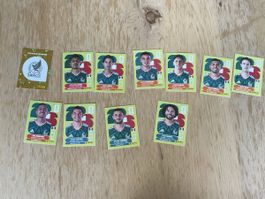 Panini Mexiko 1 6 8 9 10 11 12 13 14 15 16 20 