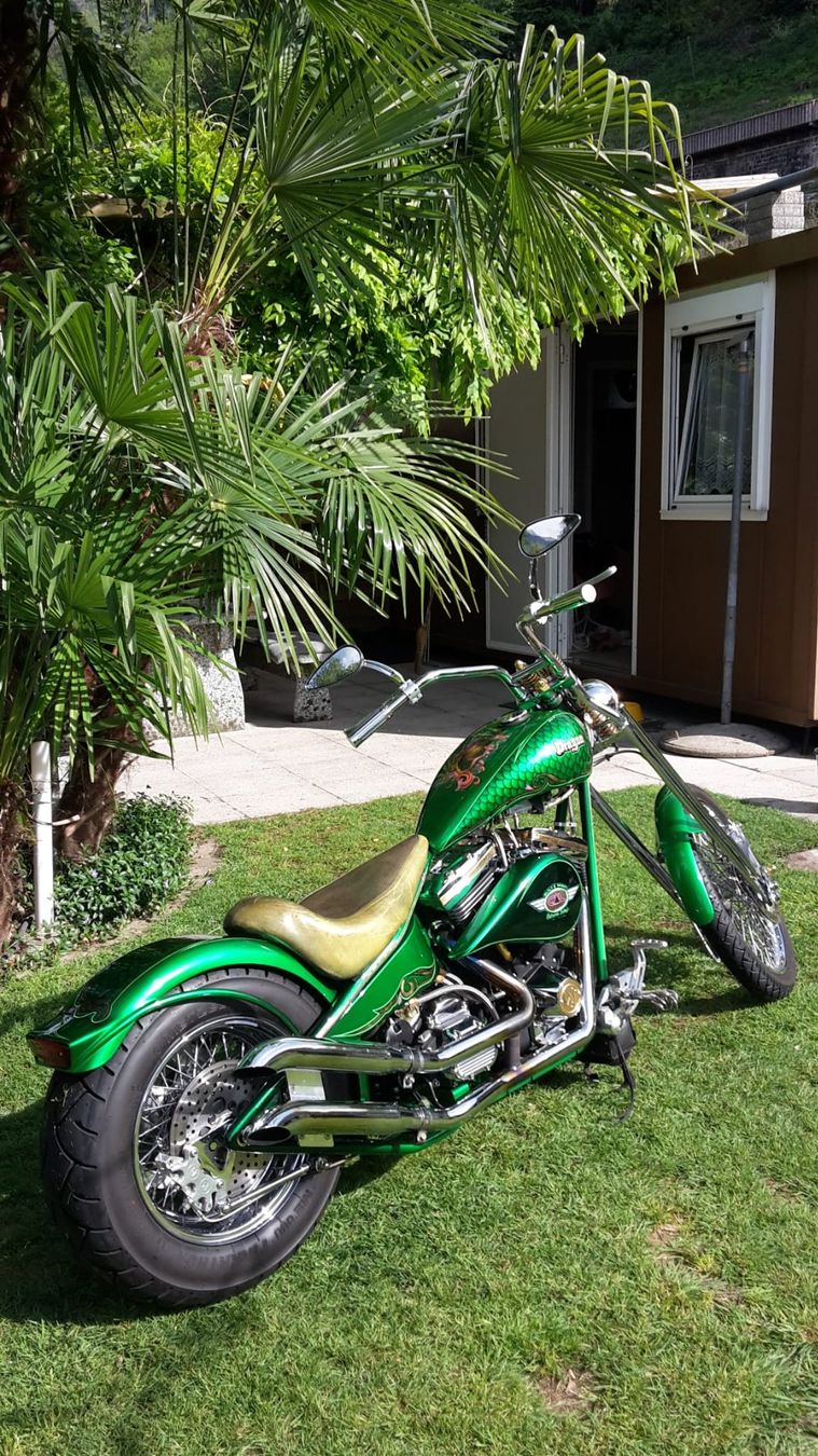Cruisers: Harley Davidson, MWH Custom Chopper – D'occasion à Breitenbach par gar_vg29 3
