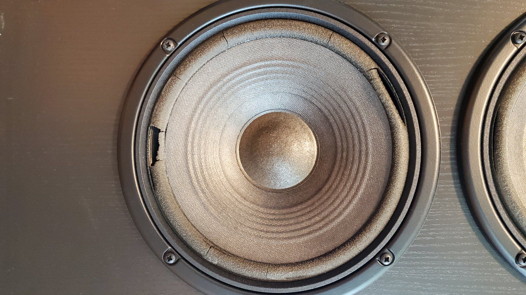JBL Haut-parleurs: Boxen JBL LX 1000 – D'occasion à Sachseln par cam_k8v5 1