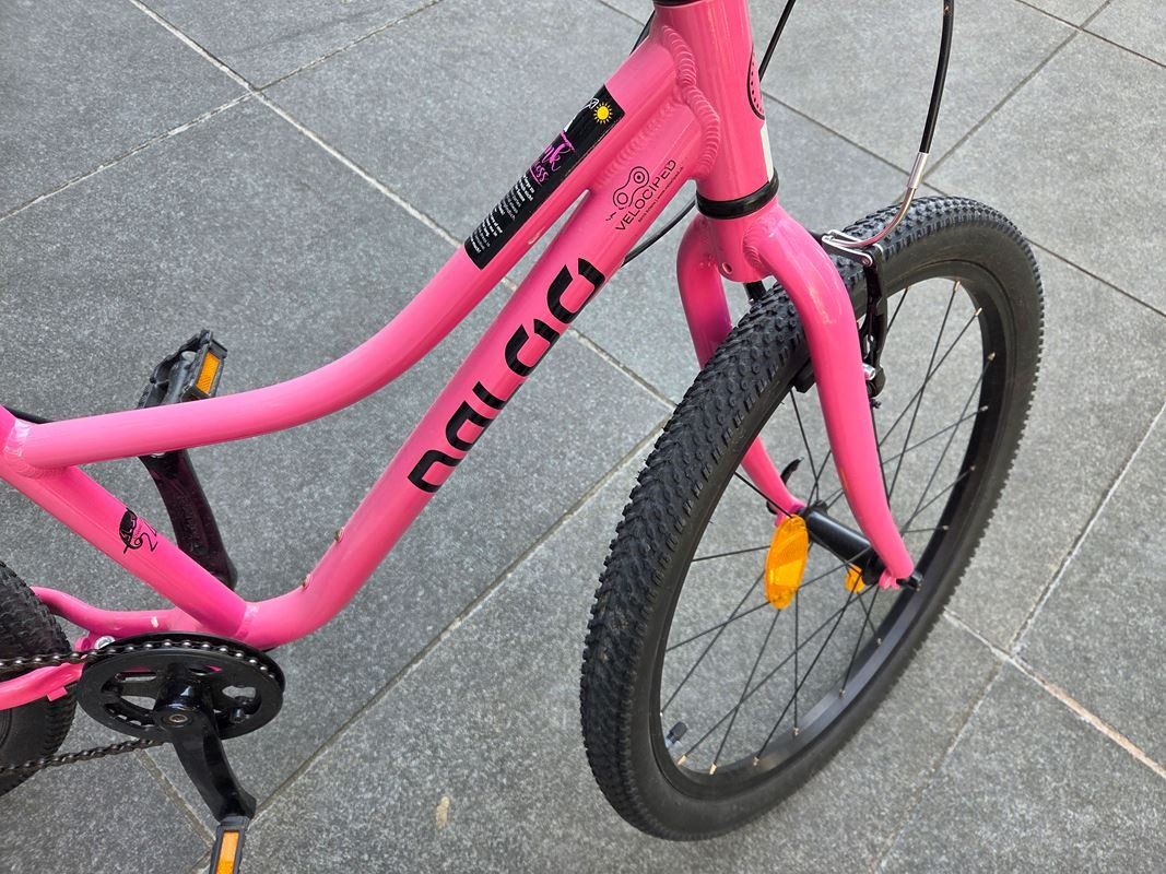 Naloo Velos: NALOO Kindervelo | Chameleon 24" – Gebraucht aus Luzern von Restwert_Luzern 2