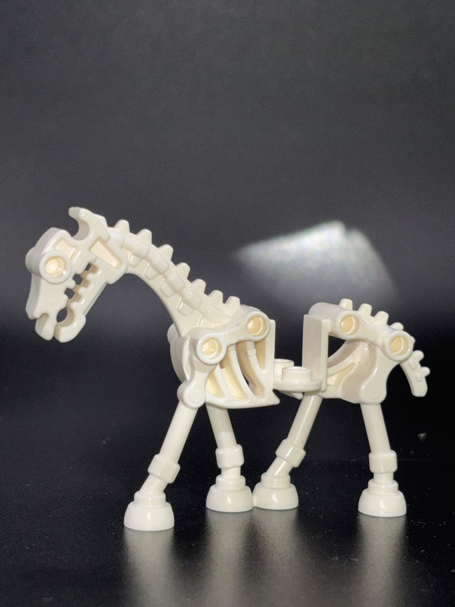 Lego Giocattoli: Lego Castle Pferd skeletal weiss – Usato da Winterthur venduto da Diwolf