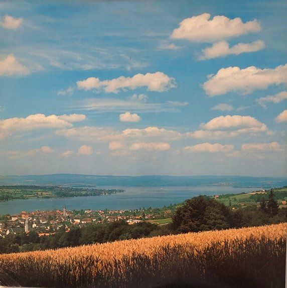 Dischi in vinile: Volkstümlicher Thurgau (LP) – Usato da Grüningen venduto da azulmarron 3