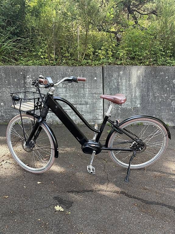 Ego Movement Biciclette: Ego Movement e-Bike Cleopatra 2.0 – Usato da Zürich venduto da alexjane