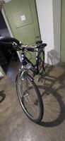 Unisex Velo