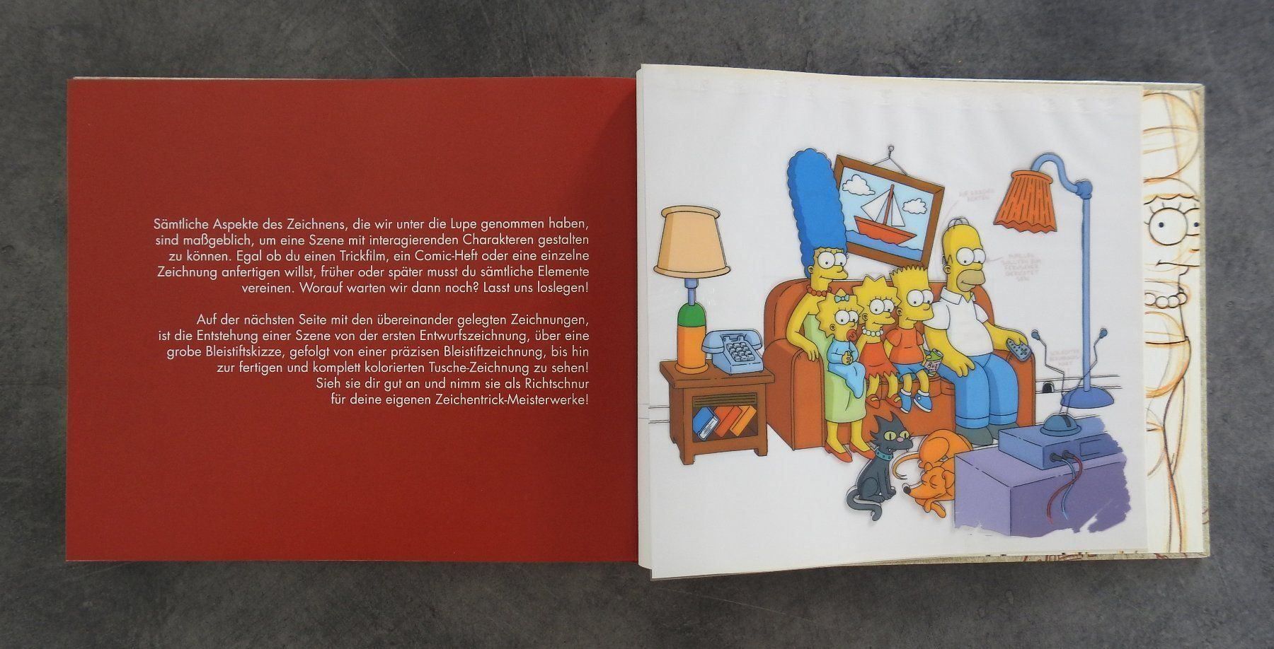 Libri: The Simpsons Handbuch - NEU – Nuovo e nell'imballaggio originale da Zürich venduto da Piki7 9