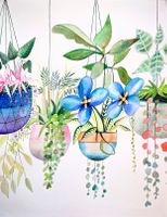 Original Aquarell hängende Blumentöpfe und Zimmerpflanzen