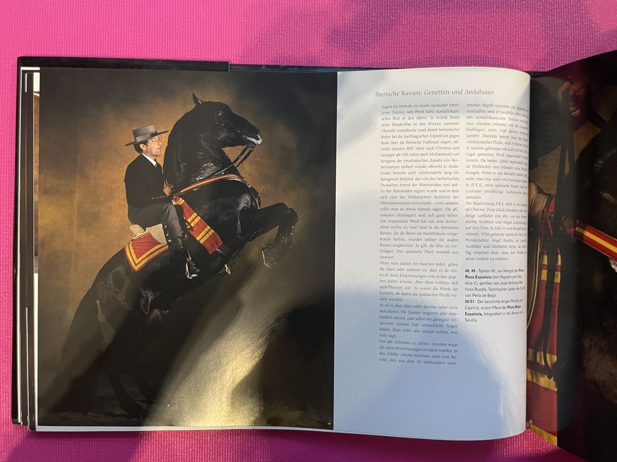 Libri: Pferde: Yann Arthus-Bertrand Bildband – Usato da Einsiedeln venduto da loubi02 3
