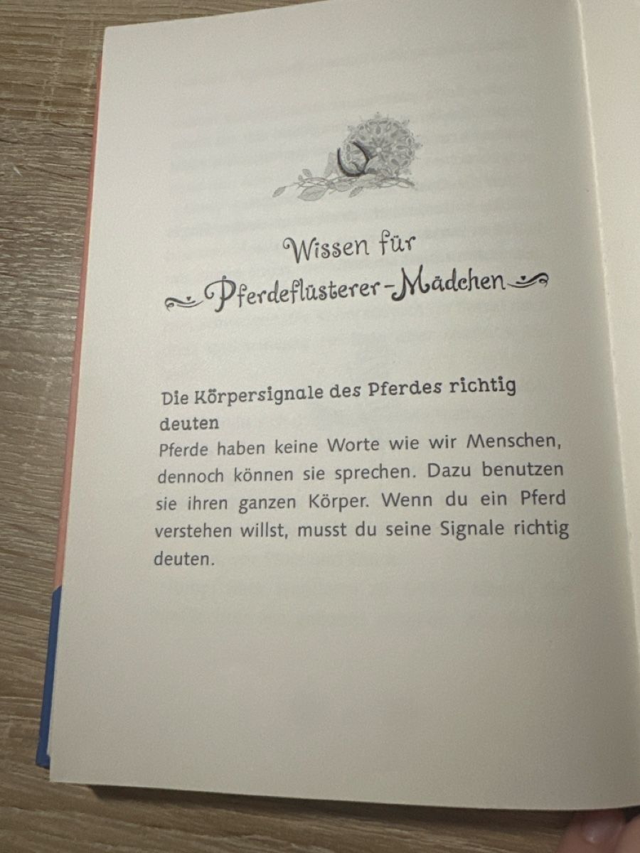 Libri: Buch Pferdeflüsterer Mädchen Ein grosser Traum Band 2 – Nuovo (secondo la descrizione) da Buttikon SZ venduto da Pilatus2013 4