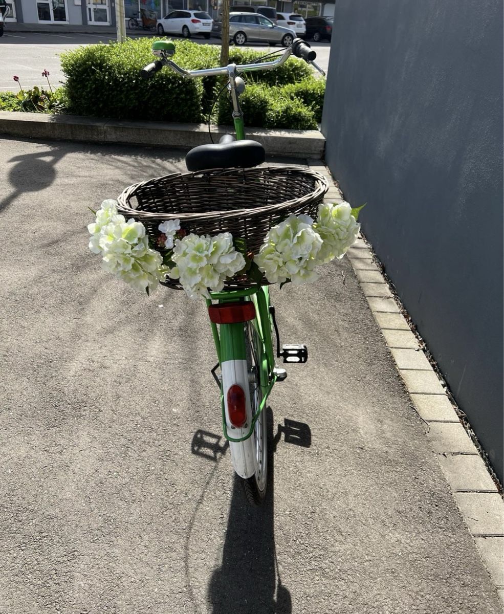 Biciclette: Hollandvelo Columbus – Usato da Fällanden venduto da Caramel7 2