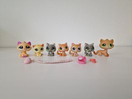LPS Katzen #2406,1649,1035,86,47,1035,110 littlest Petshop