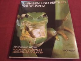 «Amphibien und Reptilien der Schweiz» von Max Meier