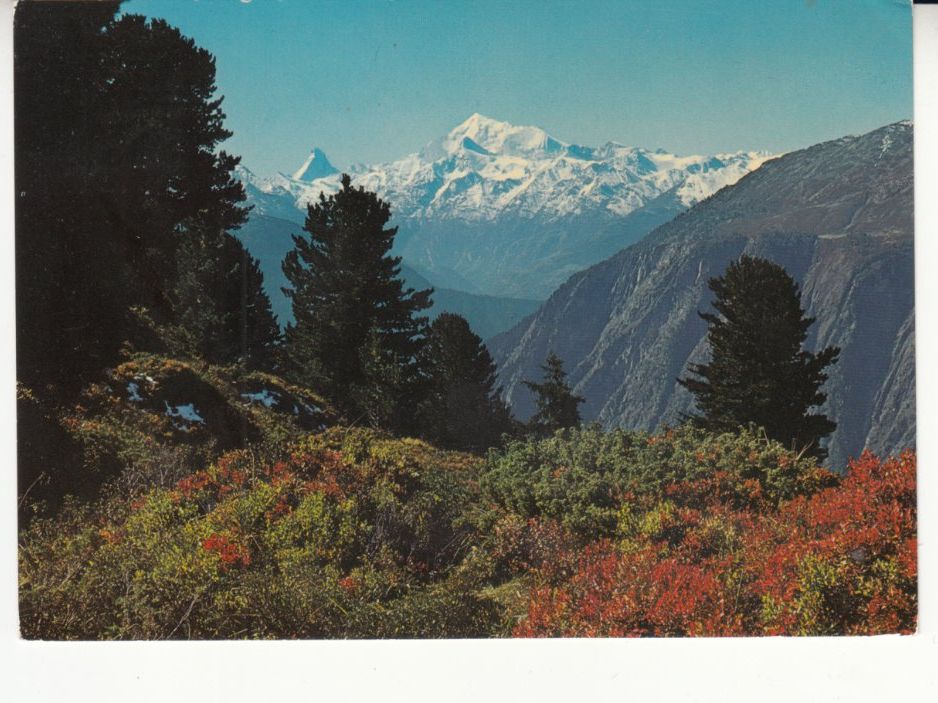 Cartoline postali: Riederalp 1974 – Usato da Bürglen TG venduto da StampGraf