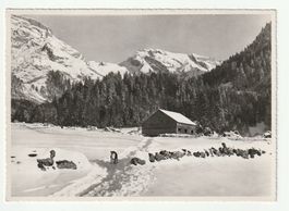 Postkarte Älpli Obertoggenburg mit Säntis