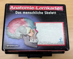 Anatomie Lernkarten  - Das menschliche Skelett - mit Box
