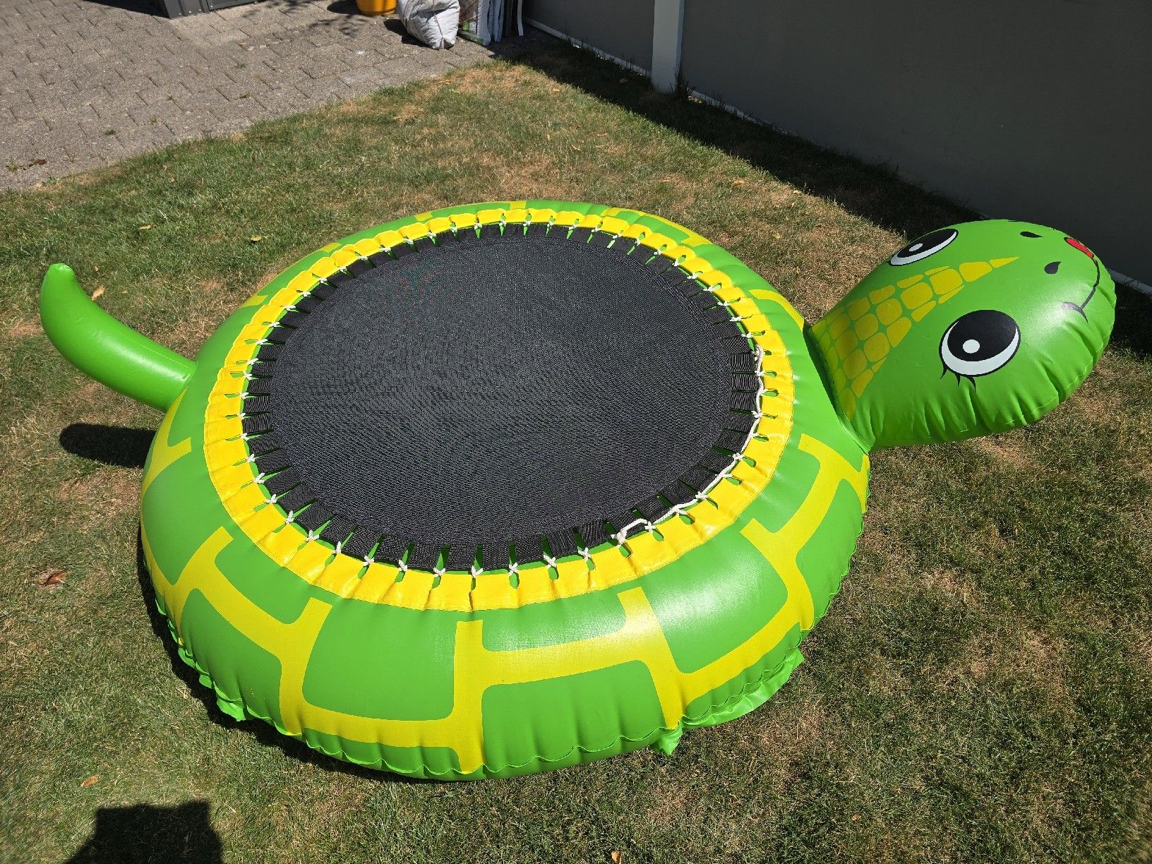Schwimmbad: Aufblasbare Schildkröte 140cm – Gebraucht aus Hausen AG von Vugri 1
