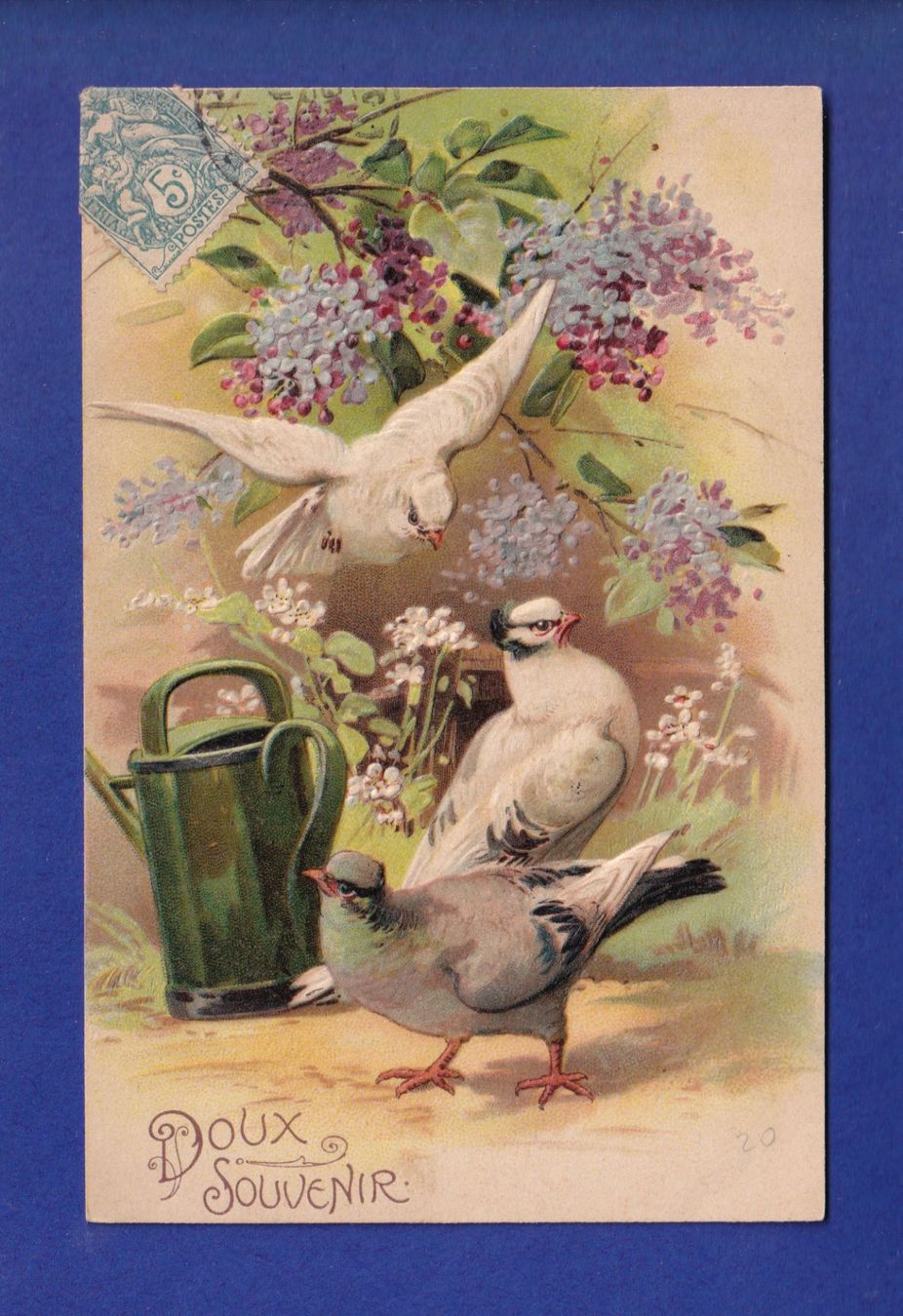Cartoline postali: OISEAU - Colome - Pigeon - Carte gauffrée – Usato da Pully venduto da nicecards-shop