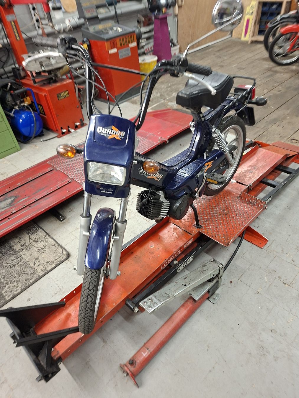 Tomos Ciclomotori: tomos Quadro Orginal  Mofa  – Usato da Herisau venduto da vw1972 1