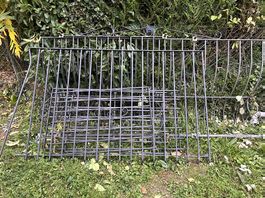 Barreaux de fenêtre en fer forgé