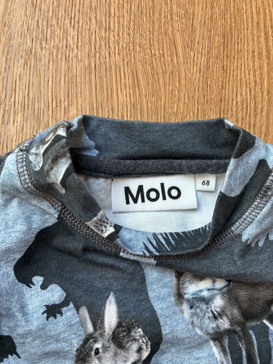 Molo Camicie, Top & T-shirt: Molo Langarmshirt Grösse 68 – Nuovo (secondo la descrizione) da Witterswil venduto da Livee 2